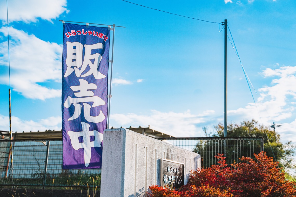 いしづか ちひろが撮影した「パン工場HP用写真撮影」の写真