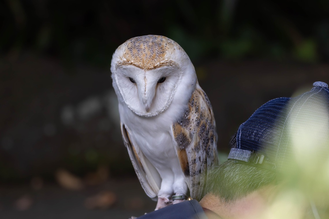 沖山俊樹が撮影した「風景_20221003_湘南」の写真