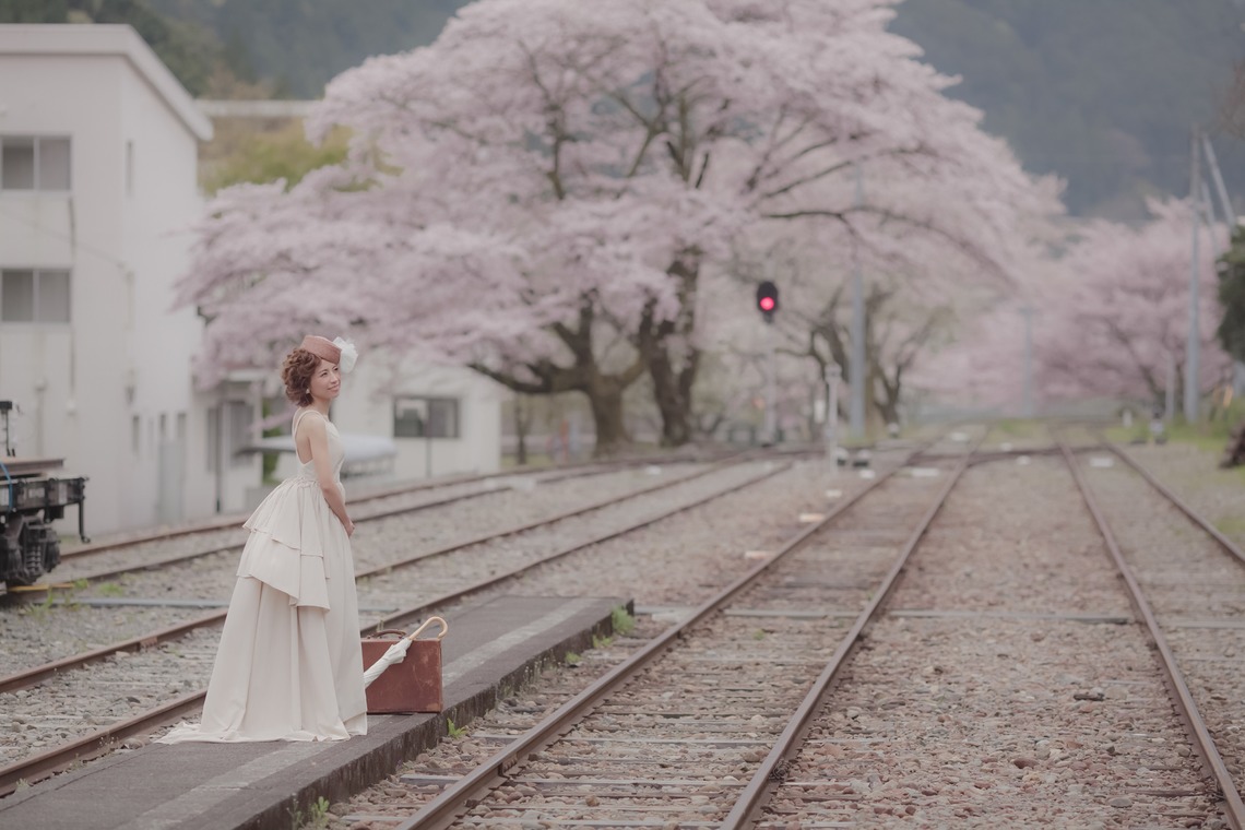  グラフィーズが撮影した写真のアルバム「桜」