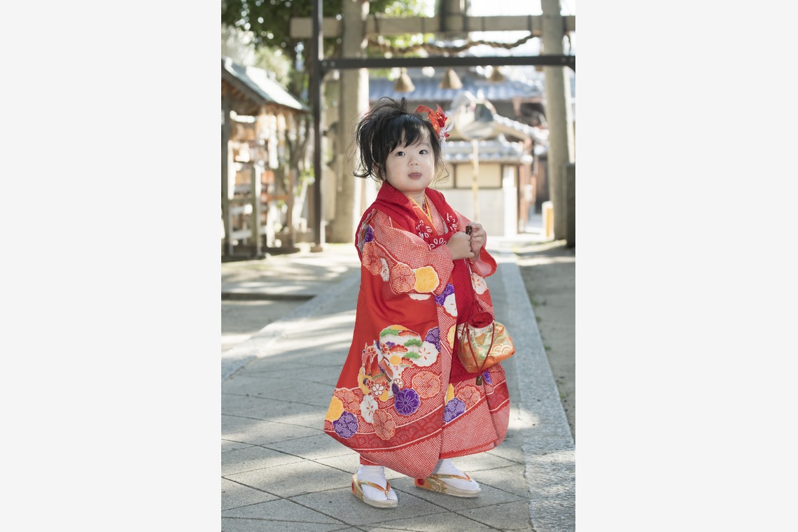 A&Y写真OFFICEが撮影した七五三フォトのアルバム「７５３お祝い写真」