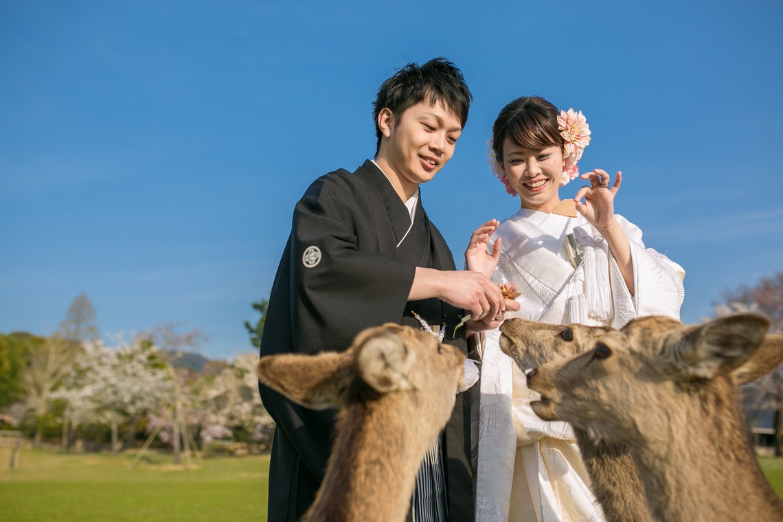 studio zeroが撮影した「奈良」の写真