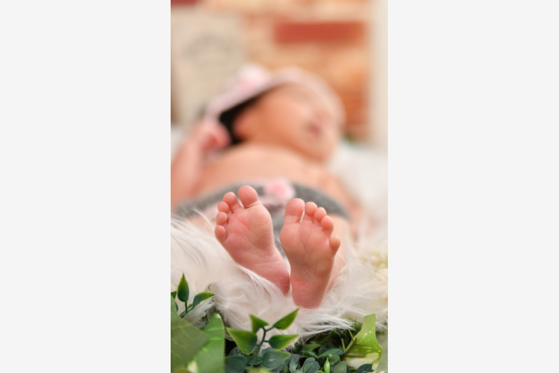 Photo la feliceが撮影した写真のアルバム「Photo la felice」