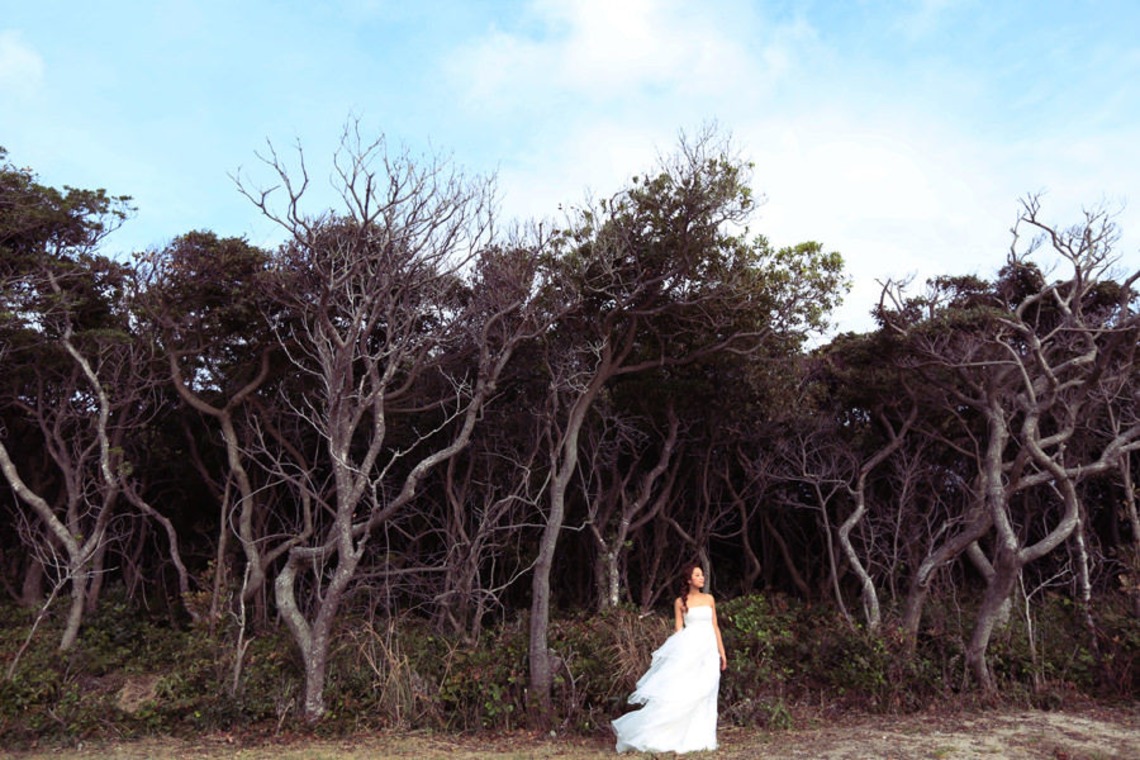 STUDIO GIROUX (薩摩秀二)が撮影した写真のアルバム「フォトギャラリー」