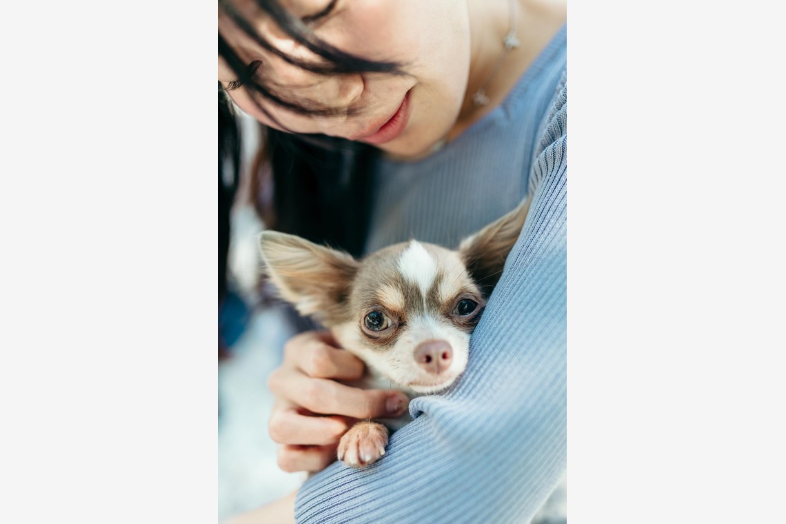 ポートレート沖縄が撮影した「ペット撮影」の写真