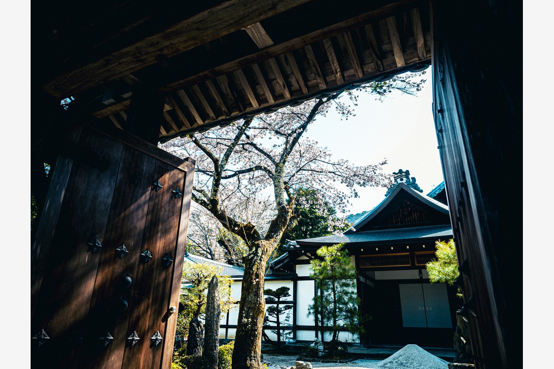 kiharu&photoが撮影した「風景【ロケ撮影】」の写真