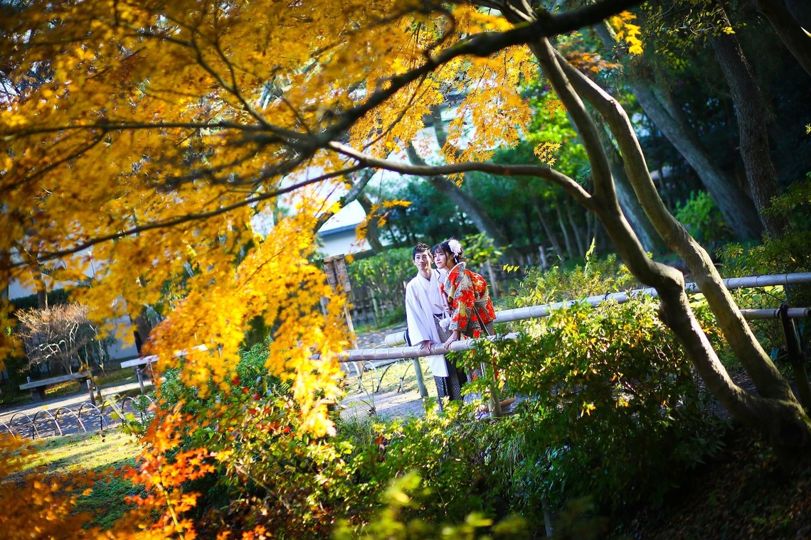 加倉井 規晃が撮影した写真のアルバム「ロケーション・前撮り・公園・和装」