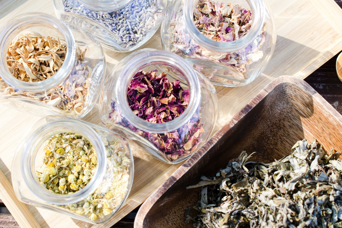 Photographer YUUKIが撮影した写真のアルバム「Yomogimushi Salon 2」