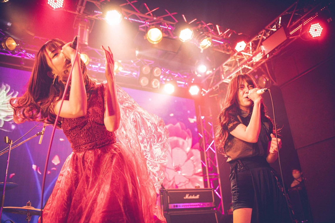 Sunstore 三條康貴が撮影した「ライブ」の写真