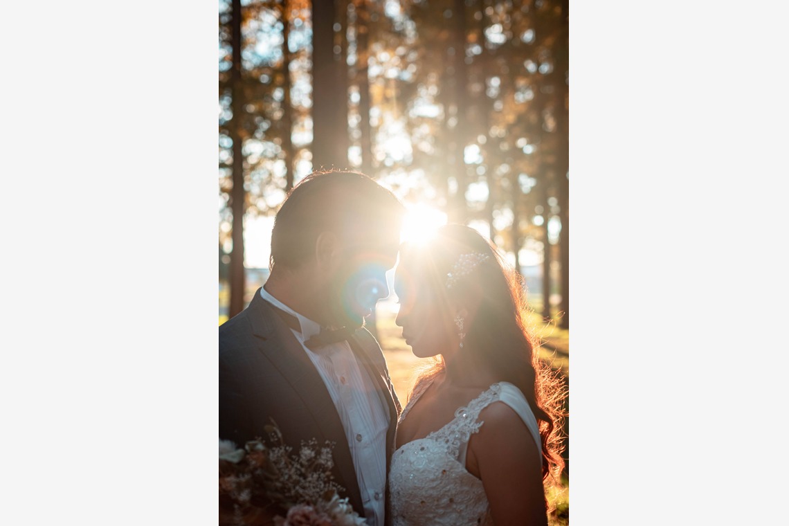 kudophotoが撮影した写真のアルバム「フォトウエディング＿メタセコイアの森」