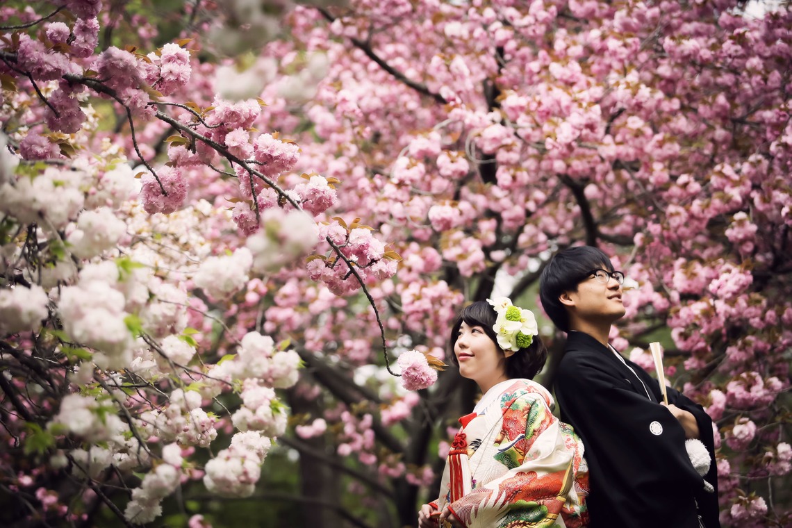 elle pupaが撮影した「京都（自然）」の写真