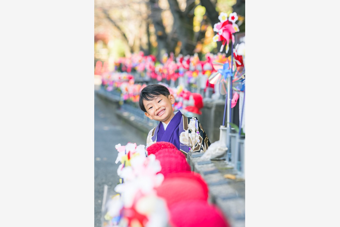 佐藤 葵が撮影した写真のアルバム「七五三撮影（2025年12月）」
