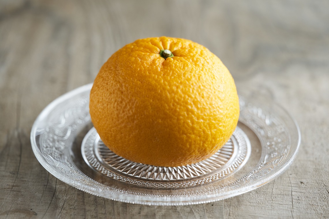 大橋裕紀が撮影した「みかん農園様の商品撮影とスナップ」の写真