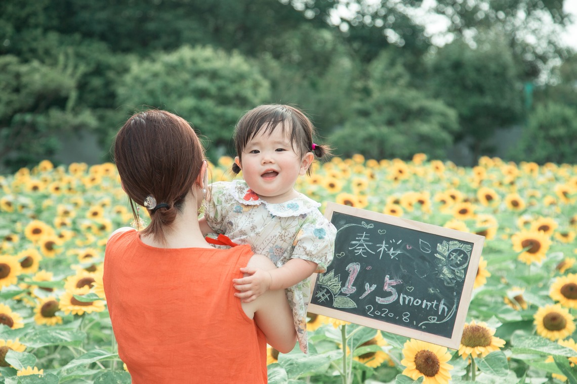 K.しんやが撮影した写真のアルバム「長居植物園のひまわり畑」