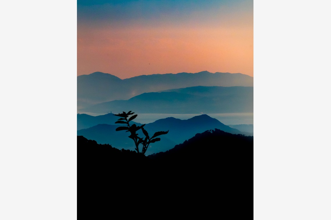 ハイナ　マテウスが撮影した「陰翳礼讃」の写真