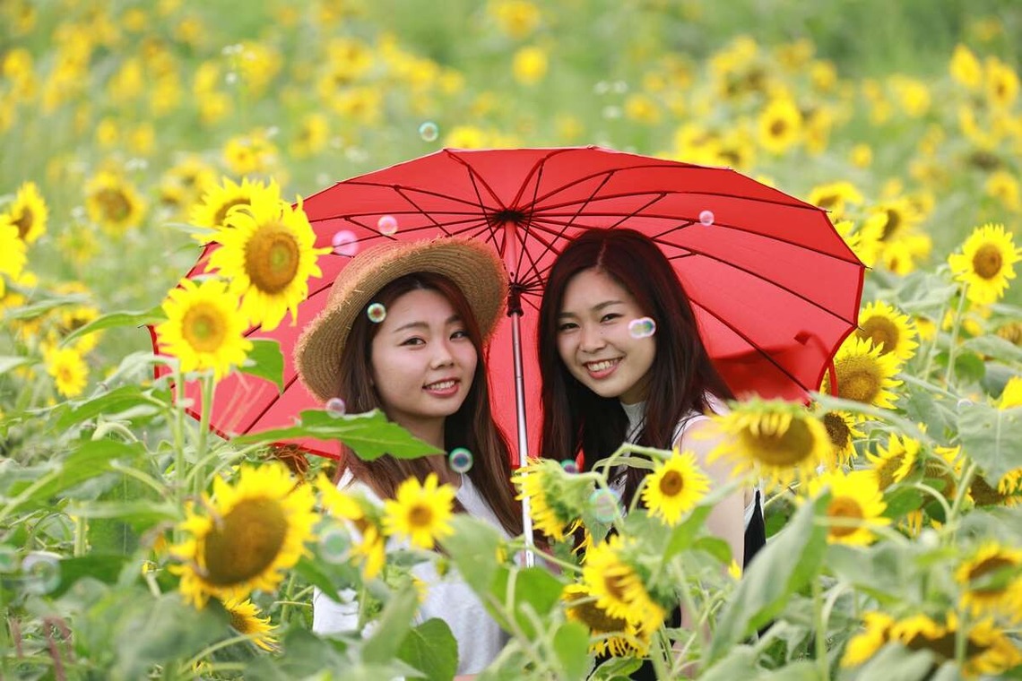 理 S PHOTOが撮影した「鼻高展望ひまわり畑」の写真