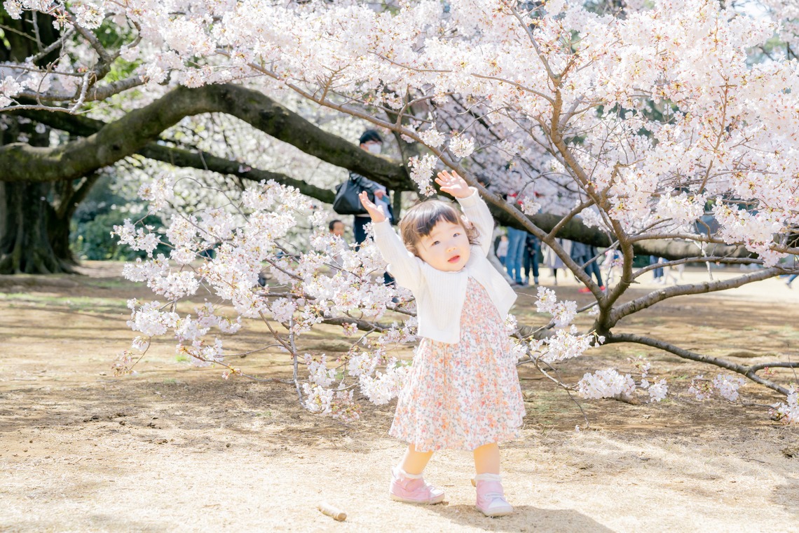 かわもとえつこが出張撮影した家族写真(キッズ,ベビーフォト)などが写った「ファミリーフォト」の家族写真