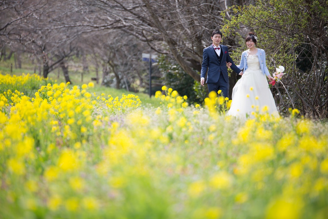 Album of the Wedding, Bridal taken by Takano Kazuki - Spring Japan