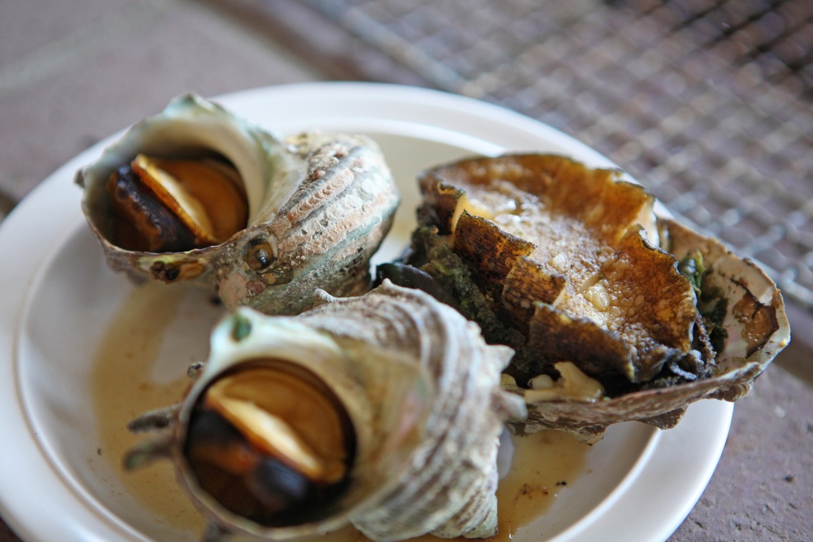 村田わかな広告写真が撮影した「タラサ志摩」の写真