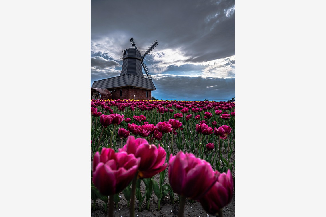 高木勇斗が撮影した「風景」の写真