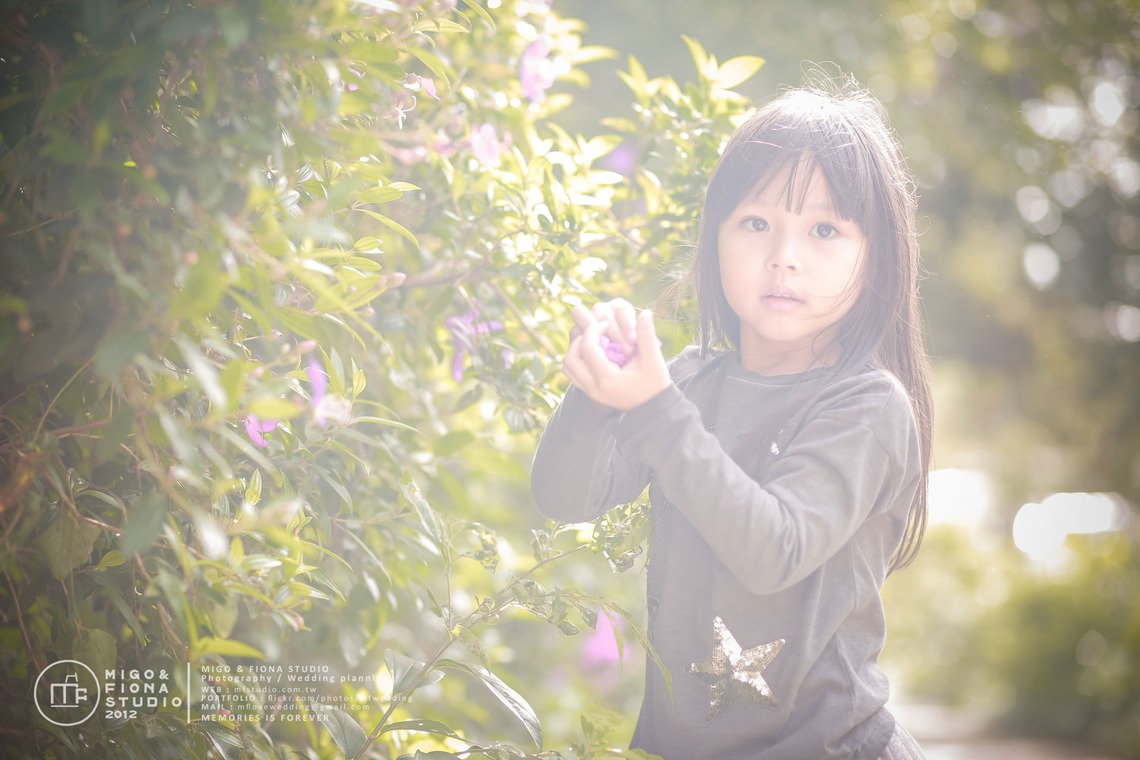 MF STUDIO Migoが撮影した写真のアルバム「ファミリーフォト」