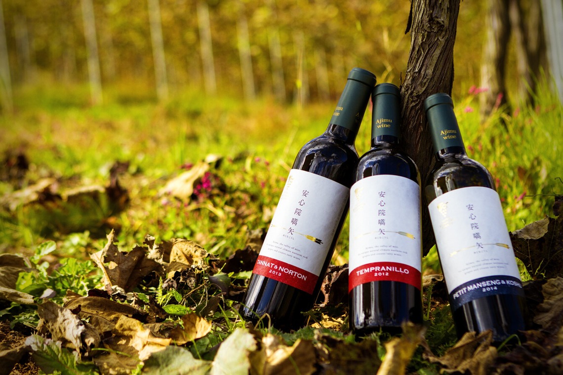 笠井鉄正写真事務所が撮影した「料理撮影（単品からコース・集合まで）」の写真