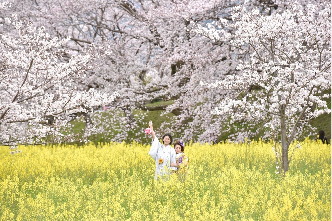キキフォトワークスが撮影した「桜の季節の和装前撮り」の写真