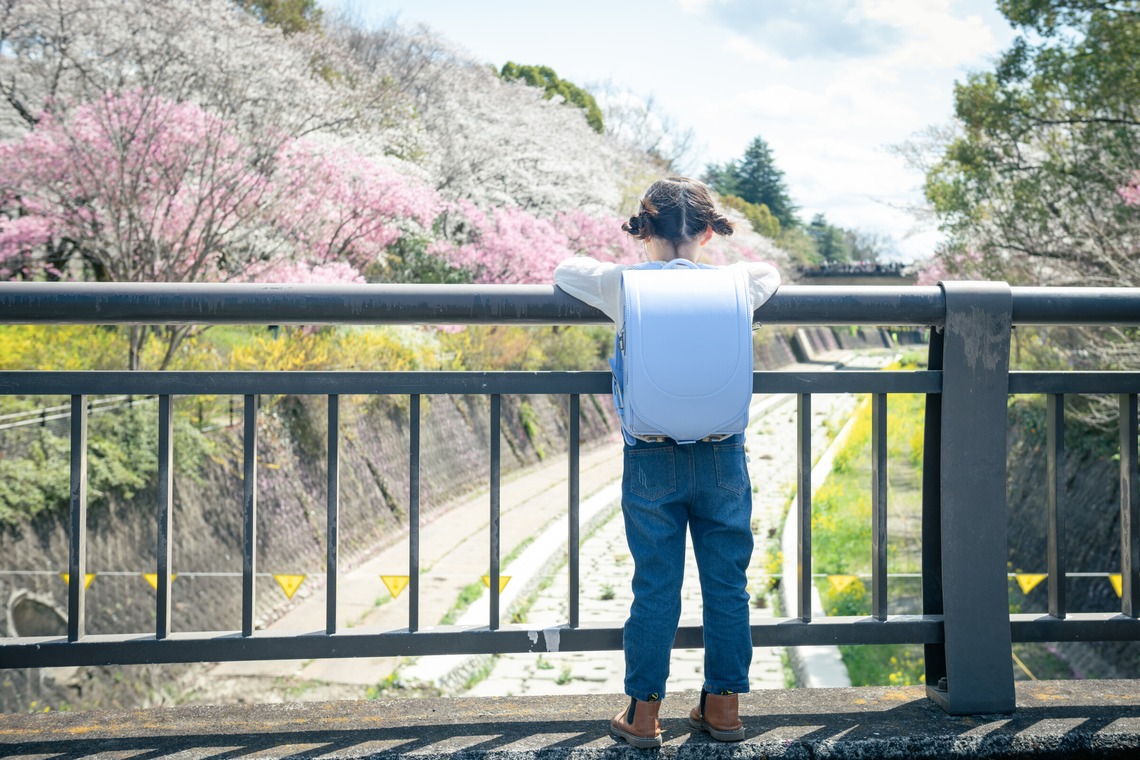 戸澤麻衣が撮影したその他のアルバム「昭和記念公園で新一年生の撮影」