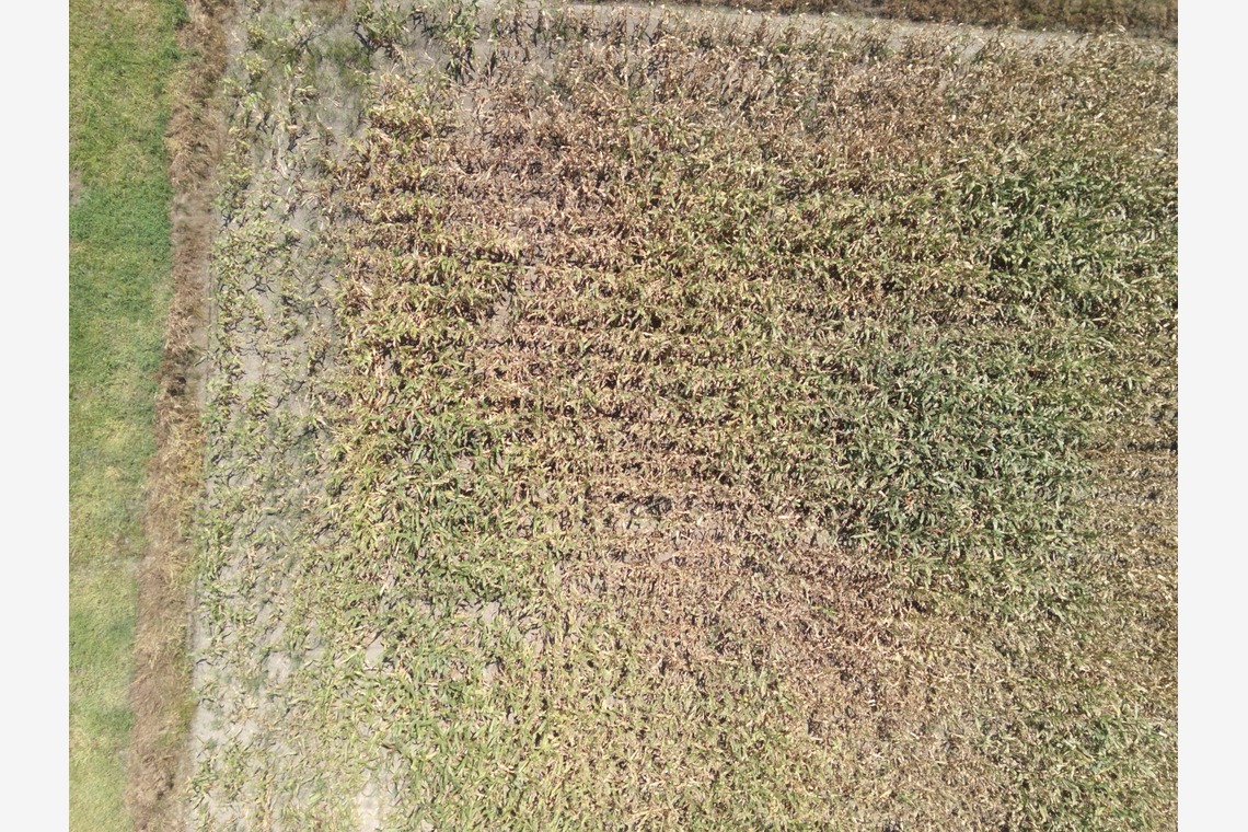 アナハイムエレクトロニクスが撮影した「震災農地調査」の写真