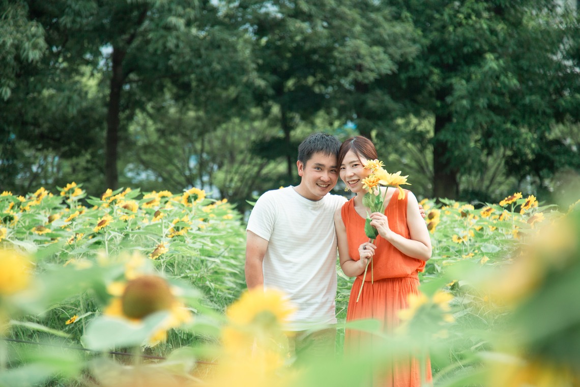 K.しんやが撮影した写真のアルバム「長居植物園のひまわり畑」