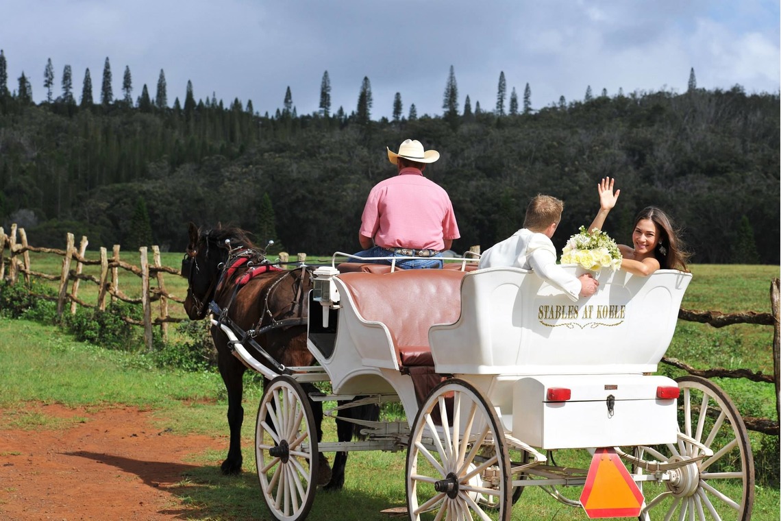 今林 浩一が撮影した写真のアルバム「ハワイ」