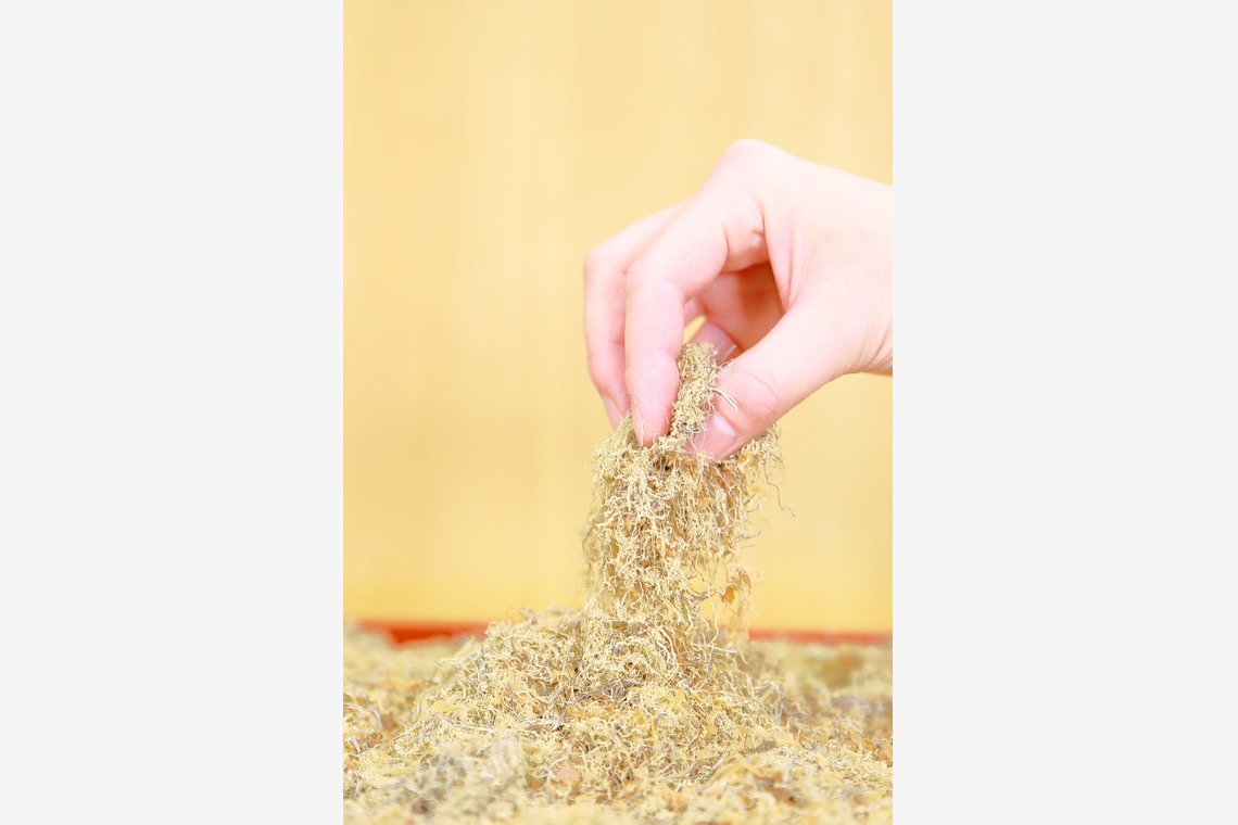 （株）建基が撮影した「食品加工会社　作業風景・商品撮り」の写真