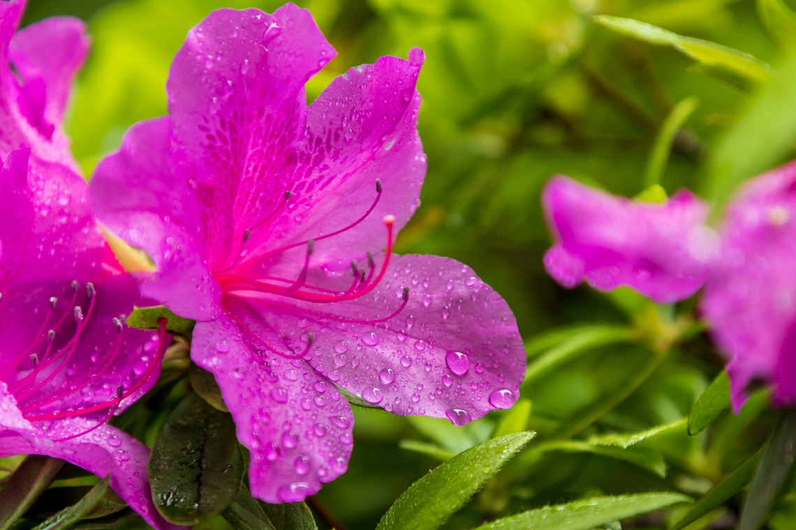 フォトオフィス　ルミエが撮影した写真のアルバム「毎月のホテルの撮影」