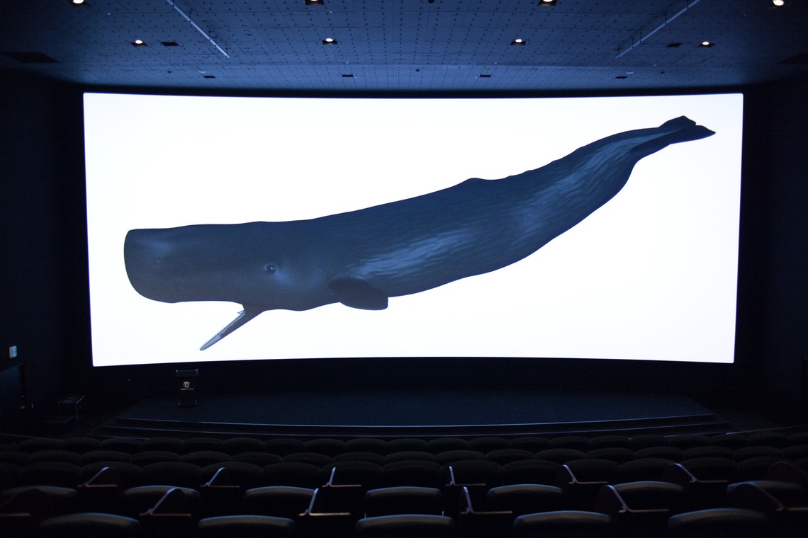 小浜守也が撮影した写真のアルバム「内観撮影」