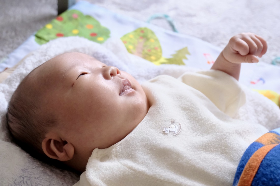 鈴木奈菜が撮影した写真のアルバム「出張記念フォト」