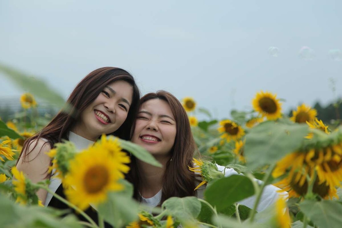 理 S PHOTOが撮影した「鼻高展望ひまわり畑」の写真