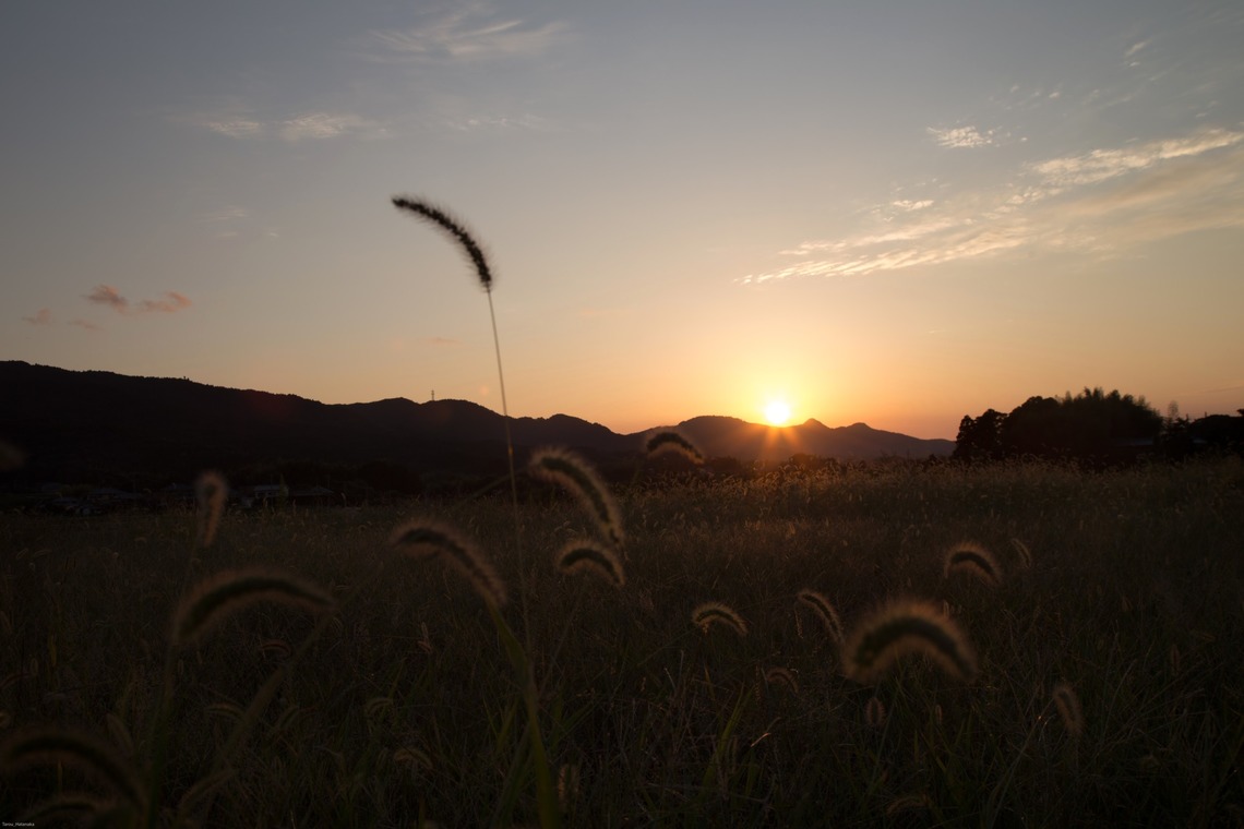 TAROU_HATANAKA が撮影した「」の写真