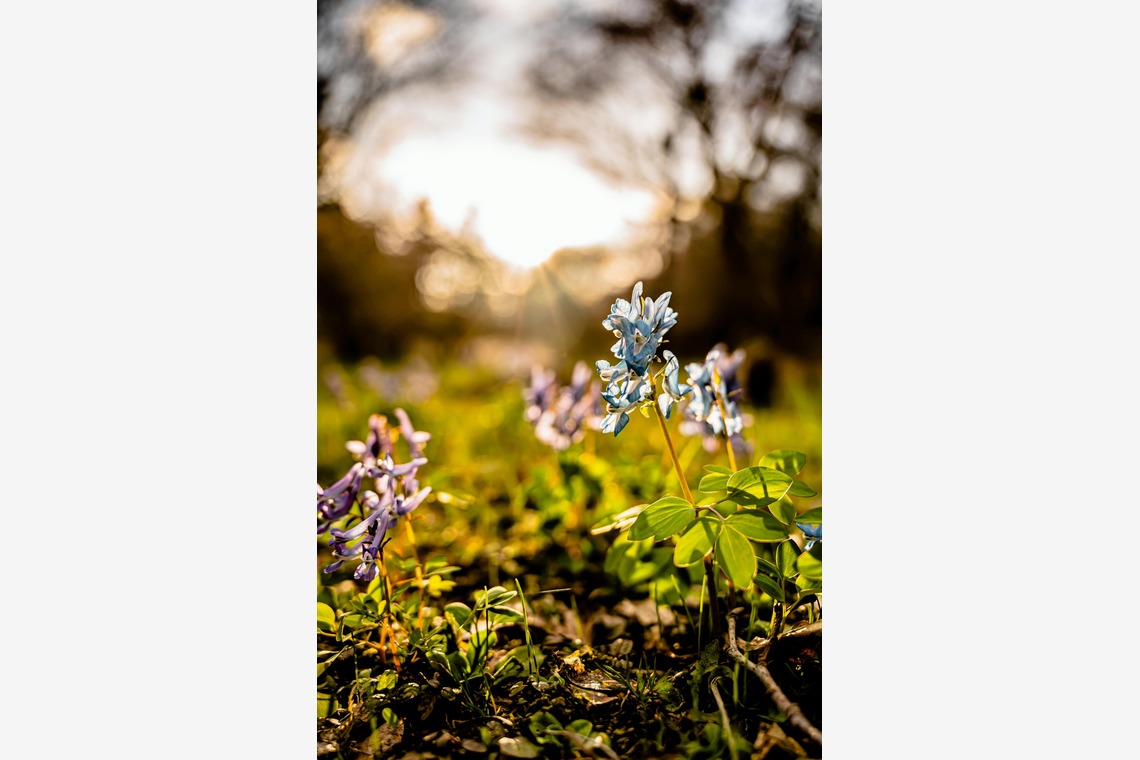 高木勇斗が撮影した「風景」の写真