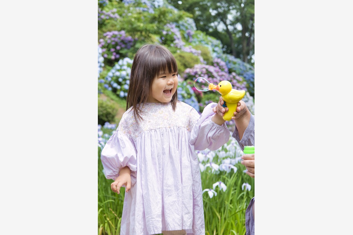 naru2photoが撮影した家族写真の出張撮影のアルバム「みんな紫陽花色の衣装で。」