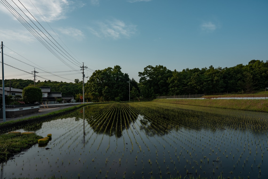 クリエイティブツリーが撮影した写真のアルバム「風景・ドローン写真」