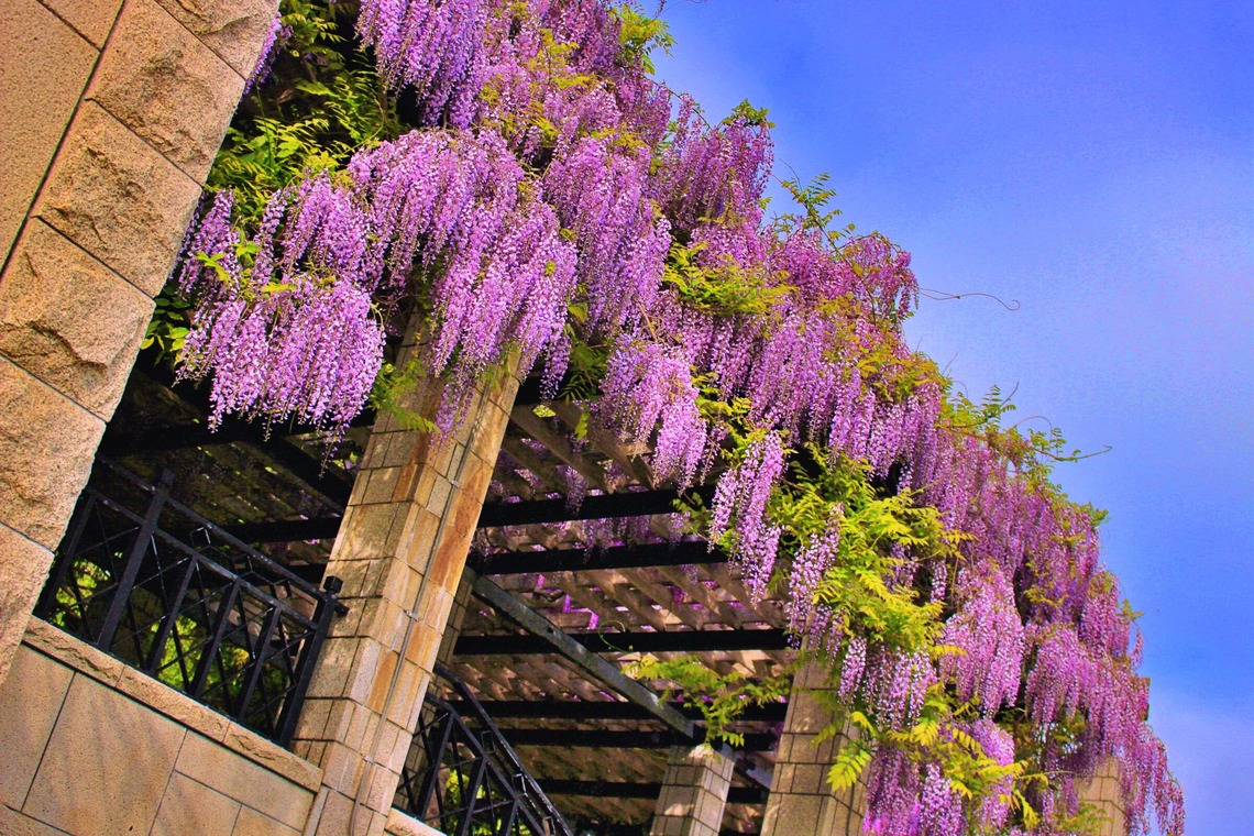 TNA(To the Next Age)