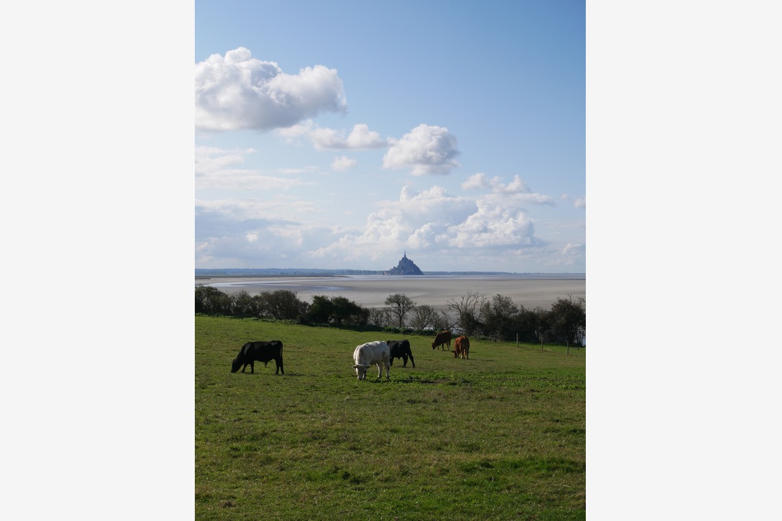 ant10.が撮影した「Paris」の写真