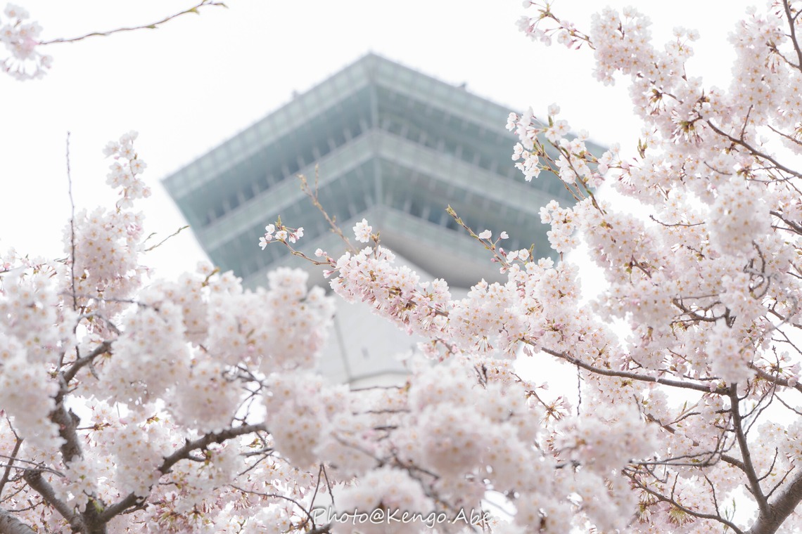 株式会社バックオフィスアクティ