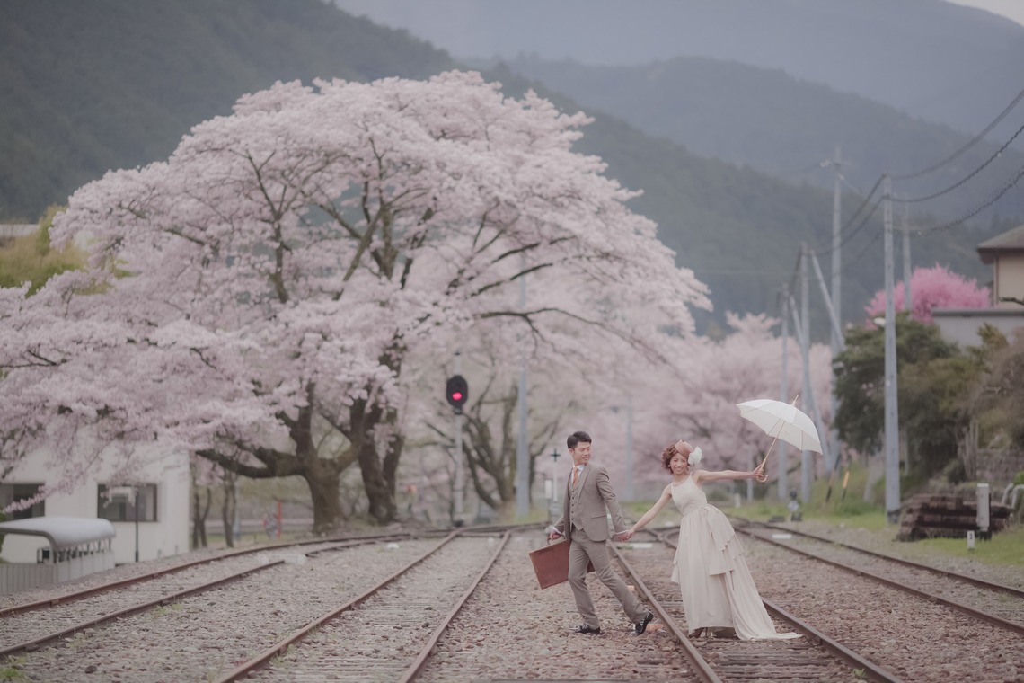 Photo of SAKURA taken by GRAPHYS