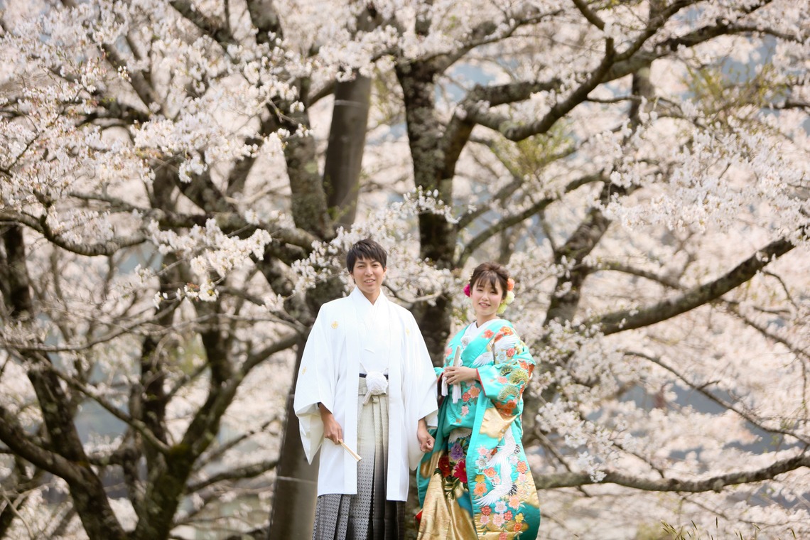 KIKIウェディングが撮影した写真のアルバム「平成最後の桜」