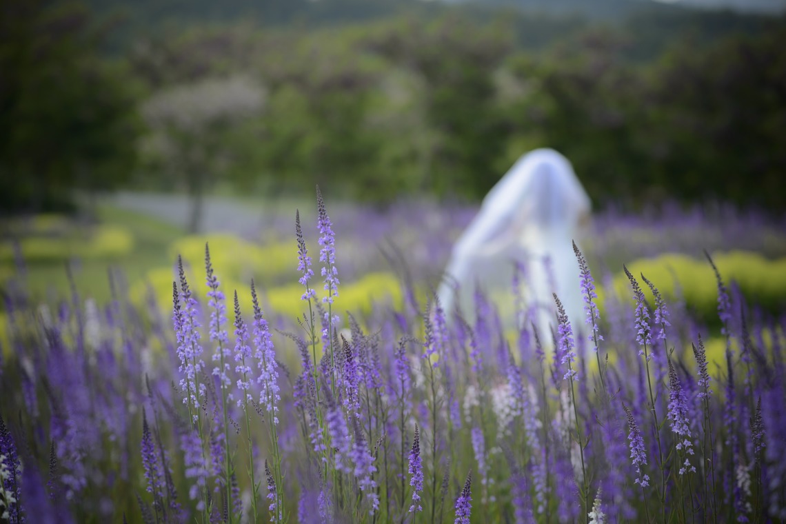 Photo of  taken by C.RELATIONS