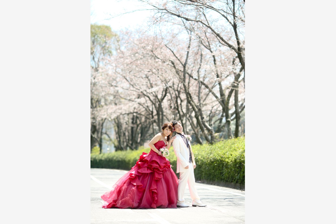 KIKIウェディングが撮影した写真のアルバム「桜と広島城」