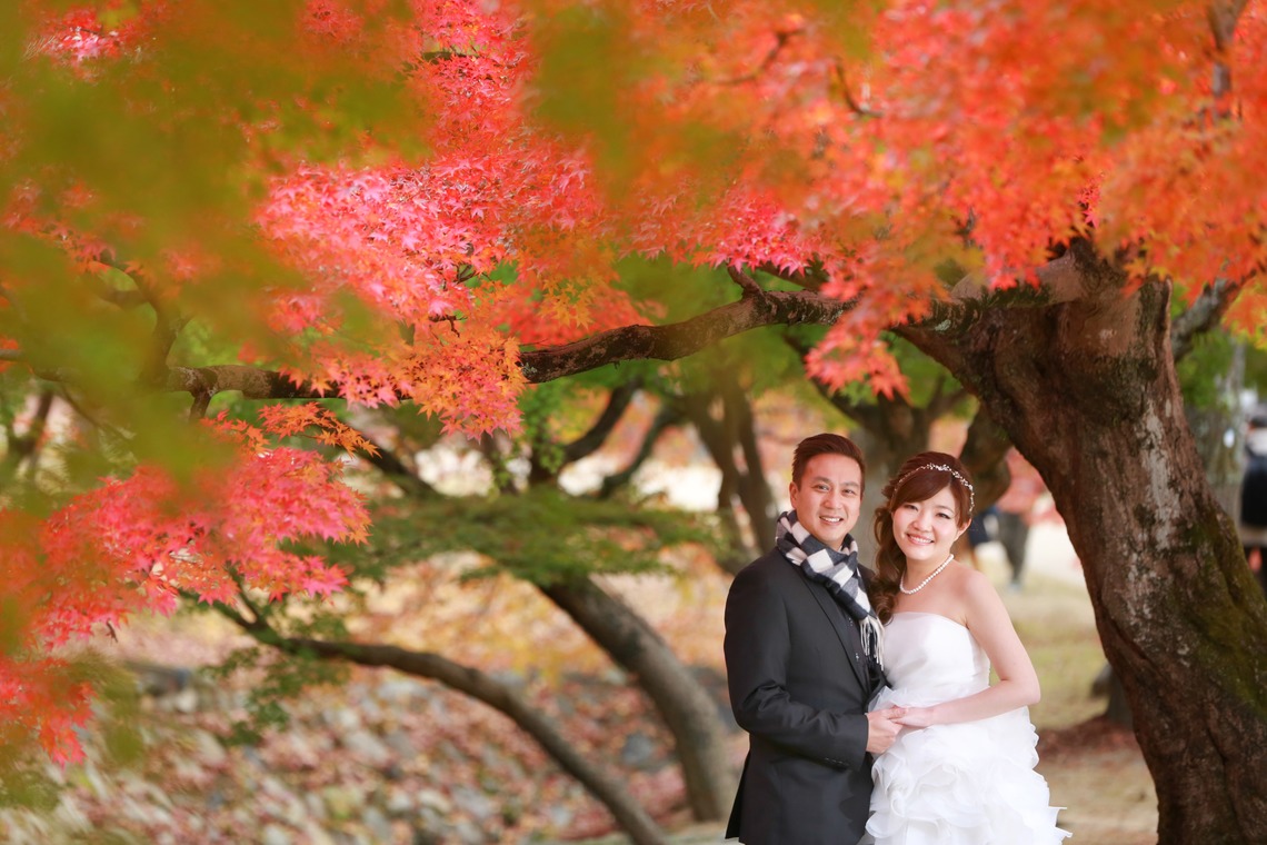 Hayashi Photo Worksが撮影した「奈良フォト」の写真