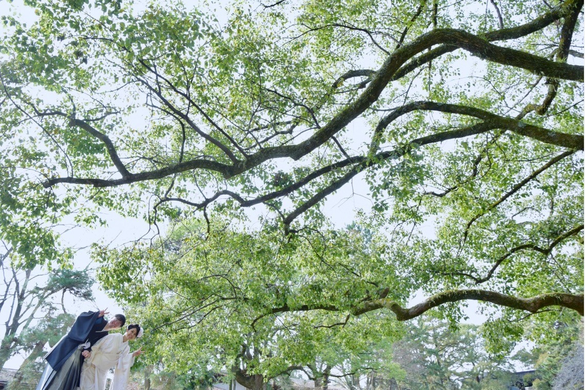 キキフォトワークスが撮影した「京都で和装前撮りロケーション」の写真