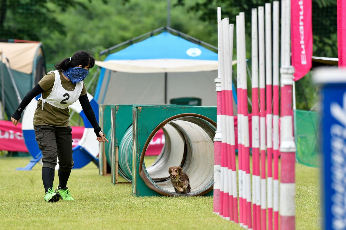 スタジオファンタスが撮影した「ドッグスポーツエクストリーム」の写真