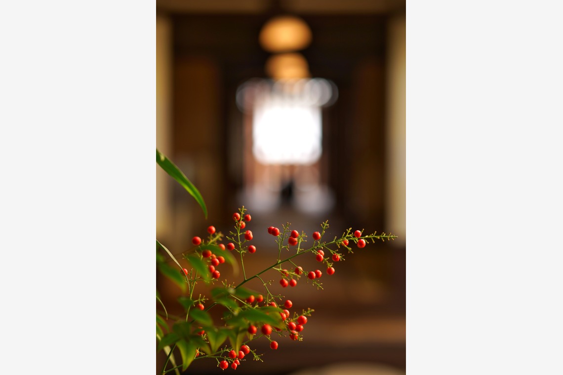 難波卓美が撮影した写真のアルバム「街角スナップ」